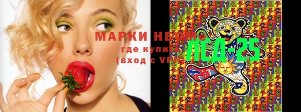 ешки Арсеньев