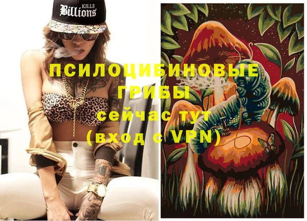 метадон Аркадак
