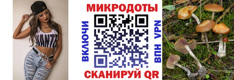 Галлюциногенные грибы ЛСД  купить закладку  ОМГ ОМГ ONION  Алатырь 